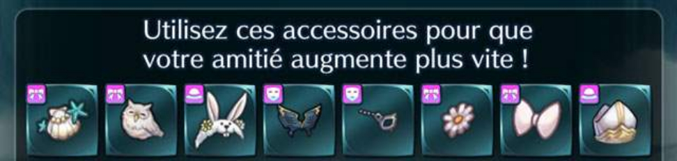 Accessoires